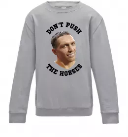 Детский Свитшот Олександр Усик Don`t push the horses Серый меланж фото