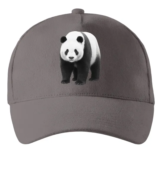 Кепка Панда повний зріст Сірий фото