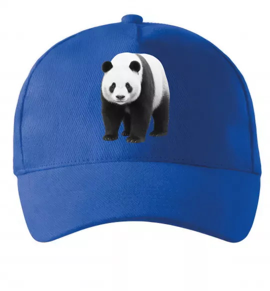 Кепка Панда повний зріст Ярко-синий фото