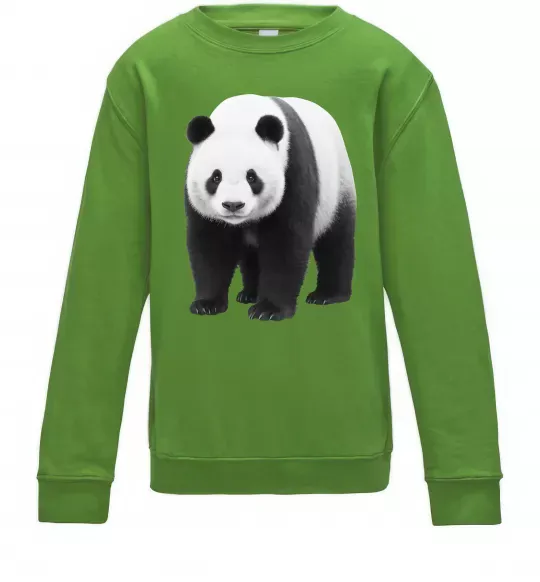 Детский Свитшот Панда повний зріст Лаймовый фото