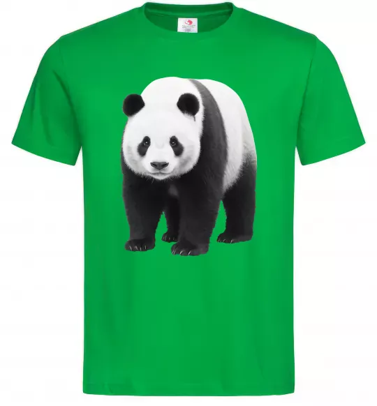 Чоловіча футболка Панда повний зріст Зелений фото