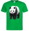 Чоловіча футболка Панда повний зріст Зелений фото
