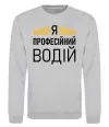 Свитшот Профейсійний водій Серый меланж фото