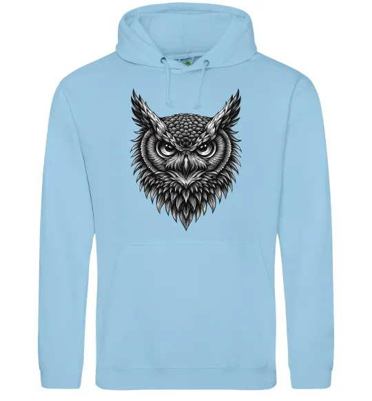 Чоловіча толстовка (худі) Сова графіка Блакитний фото