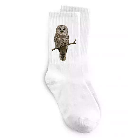 Носки Сова на гілці Белый фото