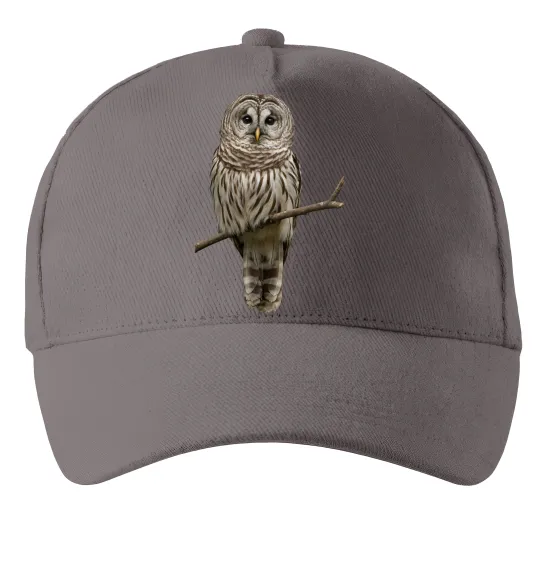 Кепка Сова на гілці Серый фото