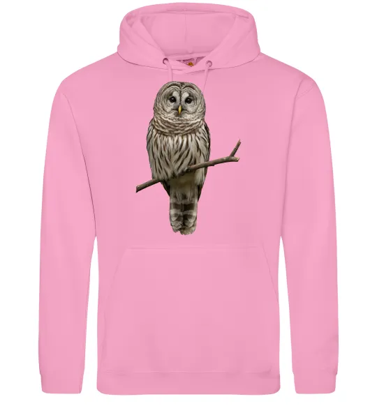 Мужская толстовка (худи) Сова на гілці Розовый фото
