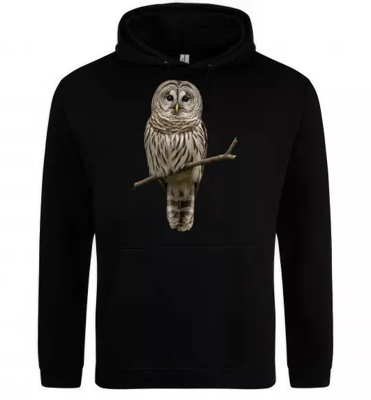 Мужская толстовка (худи) Сова на гілці Черный фото