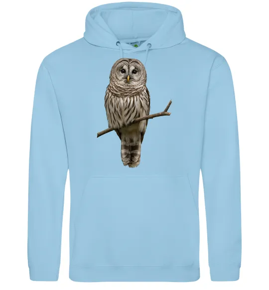Жіноча толстовка (худі) Сова на гілці Блакитний фото