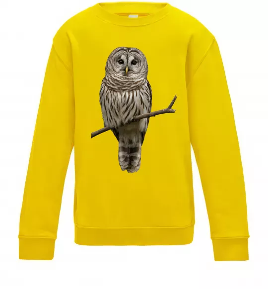 Детский Свитшот Сова на гілці Солнечно желтый фото