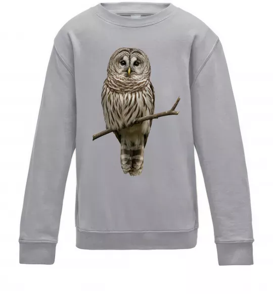 Детский Свитшот Сова на гілці Серый меланж фото