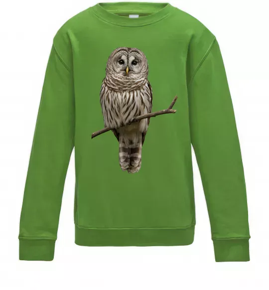 Детский Свитшот Сова на гілці Лаймовый фото