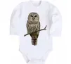 Детский боди Сова на гілці Белый фото