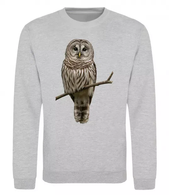 Світшот Сова на гілці Сірий меланж фото