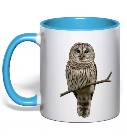 Чашка с цветной ручкой Сова на гілці Голубой фото