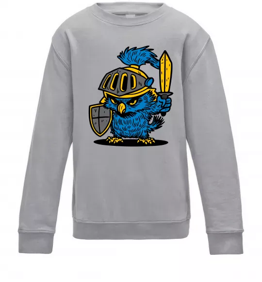 Детский Свитшот Сова в обладунках Серый меланж фото