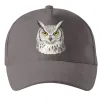 Кепка Сова погляд Серый фото