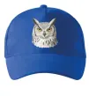 Кепка Сова погляд Ярко-синий фото