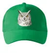 Кепка Сова погляд Зеленый фото