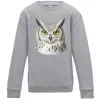 Детский Свитшот Сова погляд Серый меланж фото
