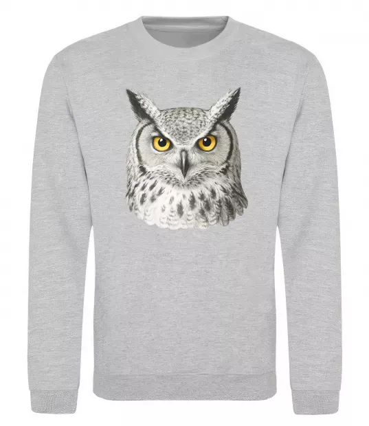 Свитшот Сова погляд Серый меланж фото