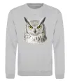 Свитшот Сова погляд Серый меланж фото