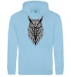 Мужская толстовка (худи) Сова черепи Голубой фото