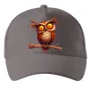 Кепка Кумедна сова на гілці Серый фото
