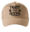 Кепка Trust the process Песочный фото