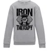 Детский Свитшот Iron is my therapy Серый меланж фото