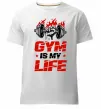 Мужская премиум футболка Gym is my life Белый фото