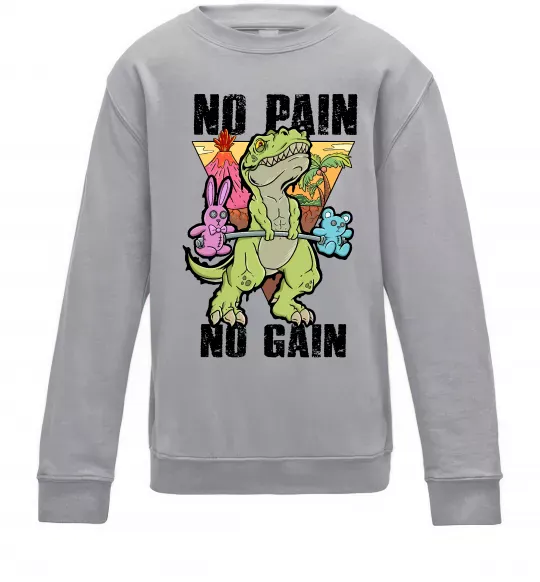 Детский Свитшот No pain no gain Dino Серый меланж фото