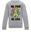 Детский Свитшот No pain no gain Dino Серый меланж фото