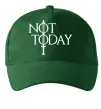 Кепка Game of thrones Not today Темно-зелений Кепка Game of thrones Not today Темно-зелений фото