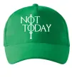 Кепка Game of thrones Not today Зелений Кепка Game of thrones Not today Зелений фото