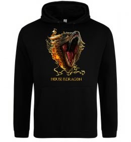 Мужская толстовка (худи) House of dragon