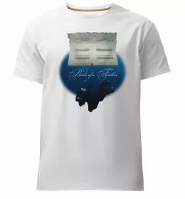 Мужская премиум футболка