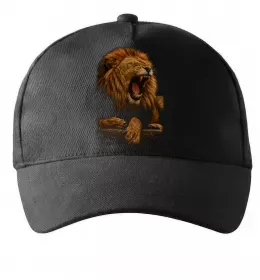 Кепка Кепка