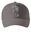 Кепка Тиг-рик Серый фото
