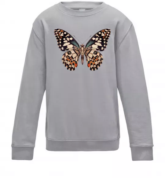 Детский Свитшот Парусник Демолей Серый меланж фото