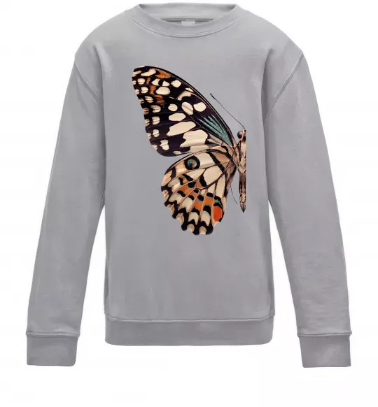 Детский Свитшот Парусник Демолей крило Серый меланж фото