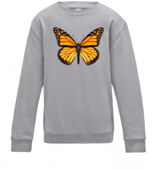 Дитячий світшот Монарх Сірий меланж фото