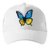 Кепка Метелик жовто-блакитний Белый фото
