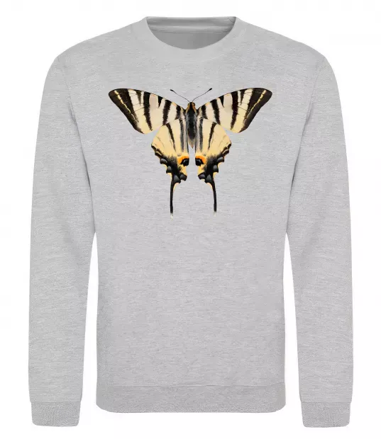 Свитшот Косатець махаон Серый меланж фото