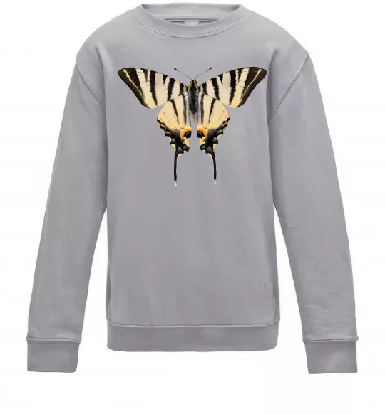 Дитячий світшот Косатець махаон Сірий меланж фото