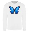 Світшот Morpho menelaus Білий фото