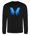 Свитшот Morpho menelaus Черный фото