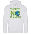 Женская толстовка (худи) There is not planet B Серый меланж фото