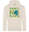 Женская толстовка (худи) There is not planet B Таш Женская толстовка (худи) There is not planet B Таш фото