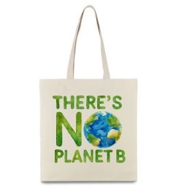 Еко-сумка There is not planet B